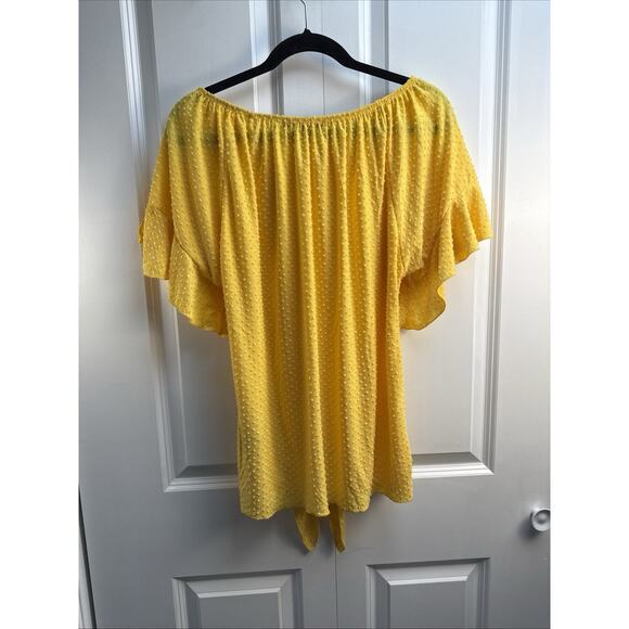Zac & Rachel Women's XL Yellow Dotted Swiss‎ Ruffle Short Sleeve Tie Front EUC - Picture 4 of 6
